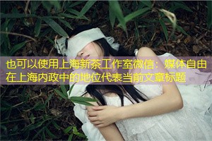 媒体自由在上海内政中的地位